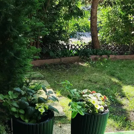 Na Skarpie Krynica Morska