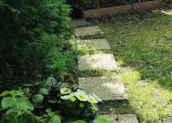 Na Skarpie 3* Krynica Morska