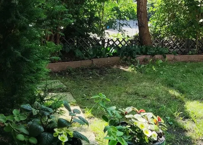 Na Skarpie Krynica Morska